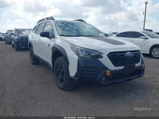 SUBARU SUBARU OUTBACK WILDERNESS