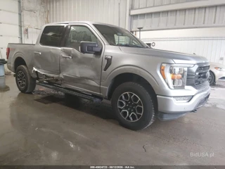 FORD FORD F-150 KING RANCH/LARIAT/LIMITED/PLATINUM/TREMOR/XL/XLT