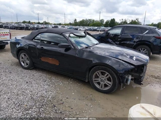 FORD FORD MUSTANG V6