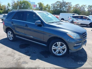 MERCEDES-BENZ MERCEDES-BENZ ML 350