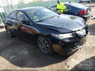 ACURA ACURA TLX V6 TECH