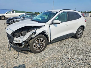 FORD ESCAPE SEL