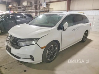 HONDA ODYSSEY ELITE
