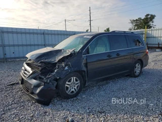 HONDA ODYSSEY EXL