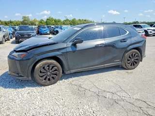 LEXUS UX 250H