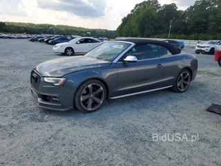 AUDI S5 PREMIUM PLUS