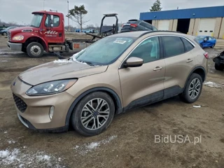 FORD ESCAPE SEL