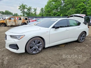 ACURA TLX A-SPEC