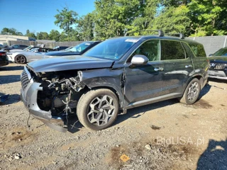 HYUNDAI PALISADE CALLIGRAPHY