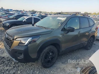 SUBARU FORESTER WILDERNESS