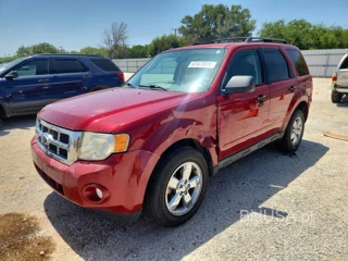 FORD ESCAPE XLT