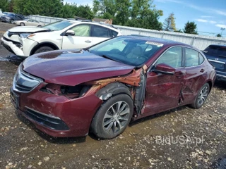 ACURA TLX TECH