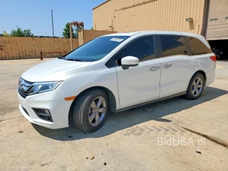 HONDA ODYSSEY EXL
