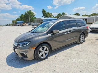 HONDA ODYSSEY EXL