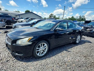 NISSAN MAXIMA 3.5 S