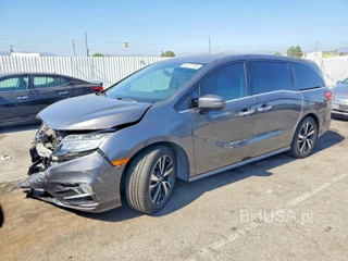HONDA ODYSSEY ELITE