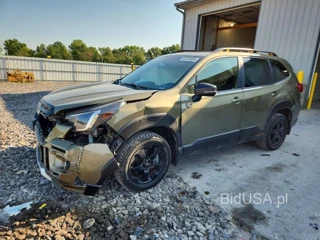 SUBARU FORESTER WILDERNESS