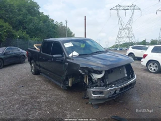FORD FORD F-150 XLT