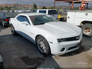 CHEVROLET CHEVROLET CAMARO 1LT