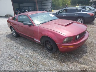 FORD FORD MUSTANG V6 DELUXE/V6 PREMIUM