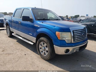 FORD FORD F-150 XLT