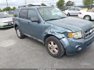 FORD FORD ESCAPE XLT