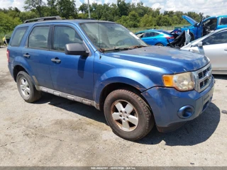 FORD FORD ESCAPE XLS/XLS MANUAL