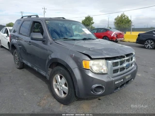 FORD FORD ESCAPE XLT