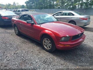 FORD FORD MUSTANG V6