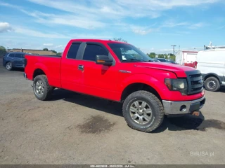 FORD FORD F-150 XLT