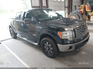 FORD FORD F-150 XLT