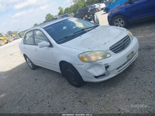 TOYOTA TOYOTA COROLLA LE
