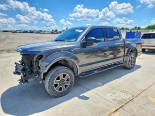 FORD F150 SUPERCREW