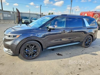 KIA CARNIVAL SX