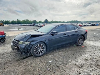 ACURA TLX