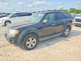 FORD ESCAPE XLT