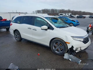 HONDA HONDA ODYSSEY EX
