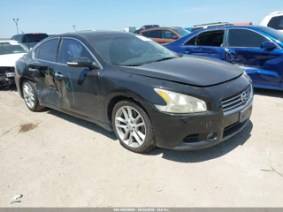 NISSAN NISSAN MAXIMA 3.5 SV