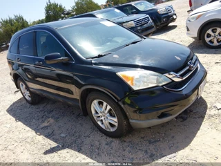 HONDA HONDA CR-V EX