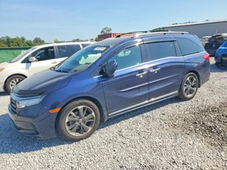 HONDA ODYSSEY ELITE