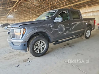 FORD F150 POLICE RESPONDER