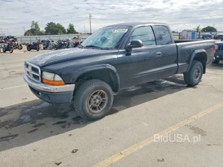DODGE DAKOTA