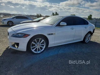 JAGUAR XF R - SPORT