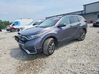 HONDA CR-V EX