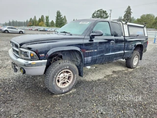 DODGE DAKOTA