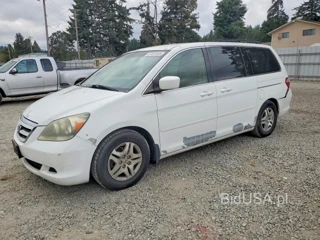 HONDA ODYSSEY EX