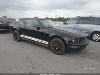 FORD FORD MUSTANG V6