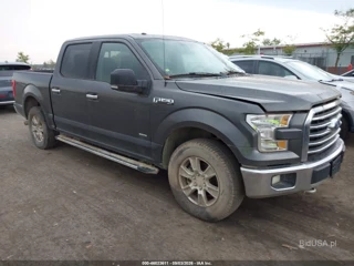 FORD FORD F-150 XLT