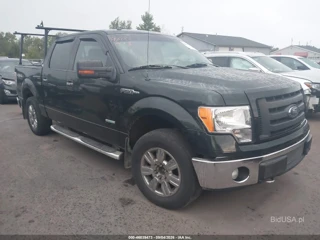 FORD FORD F-150 XLT