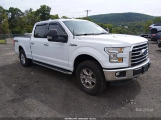 FORD FORD F-150 XLT
